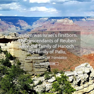 Picture 05 - Numbers 26:5 GW - Reuben was Israel’s firstborn. The descendants - Bible Verse Picture