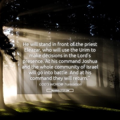 Picture 05 - Numbers 27:21 GW - He will stand in front of the priest Eleazar, who - Bible Verse Picture