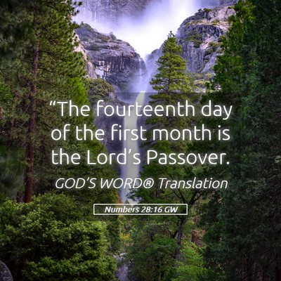 Picture 05 - Numbers 28:16 GW - “The fourteenth day of the first month is the - Bible Verse Picture