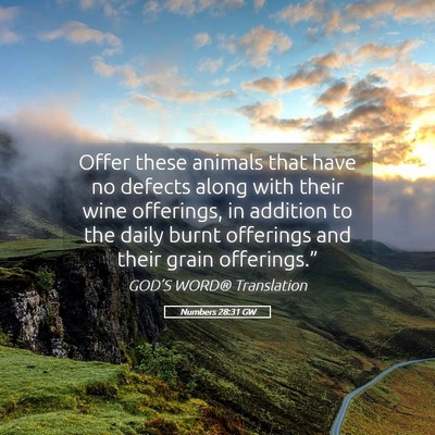 Picture 05 - Numbers 28:31 GW - Offer these animals that have no defects along - Bible Verse Picture