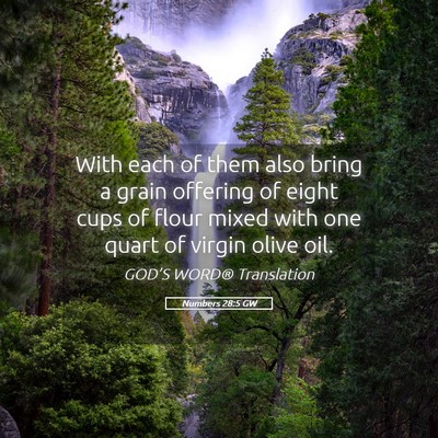 Picture 05 - Numbers 28:5 GW - With each of them also bring a grain offering of - Bible Verse Picture