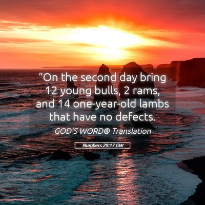 Picture 05 - Numbers 29:17 GW - “On the second day bring 12 young bulls, 2 - Bible Verse Picture