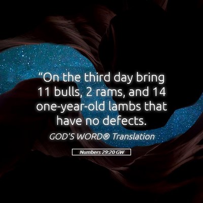 Picture 05 - Numbers 29:20 GW - “On the third day bring 11 bulls, 2 rams, and - Bible Verse Picture