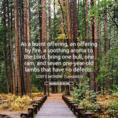 Picture 05 - Numbers 29:36 GW - As a burnt offering, an offering by fire, a - Bible Verse Picture