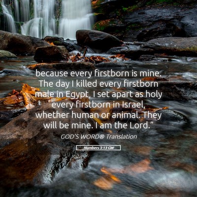 Picture 05 - Numbers 3:13 GW - because every firstborn is mine. The day I killed - Bible Verse Picture
