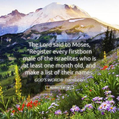 Picture 05 - Numbers 3:40 GW - The Lord said to Moses, “Register every - Bible Verse Picture