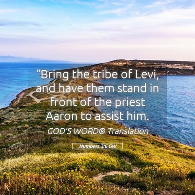 Picture 05 - Numbers 3:6 GW - “Bring the tribe of Levi, and have them stand - Bible Verse Picture