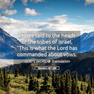 Picture 05 - Numbers 30:1 GW - Moses said to the heads of the tribes of Israel, - Bible Verse Picture