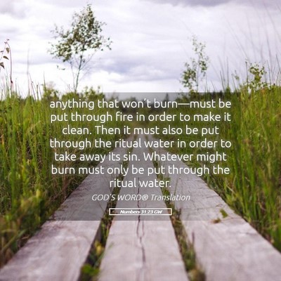 Picture 05 - Numbers 31:23 GW - anything that won’t burn—must be put through - Bible Verse Picture