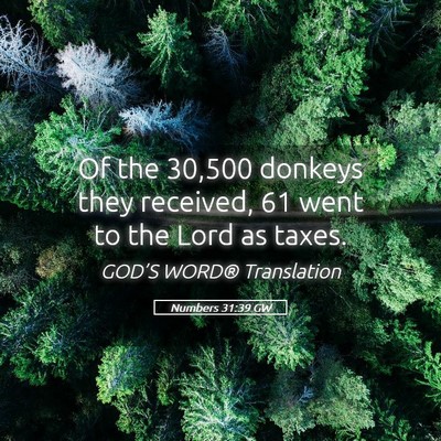 Picture 05 - Numbers 31:39 GW - Of the 30,500 donkeys they received, 61 went to - Bible Verse Picture