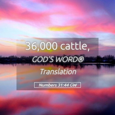 Picture 05 - Numbers 31:44 GW - 36,000 - Bible Verse Picture