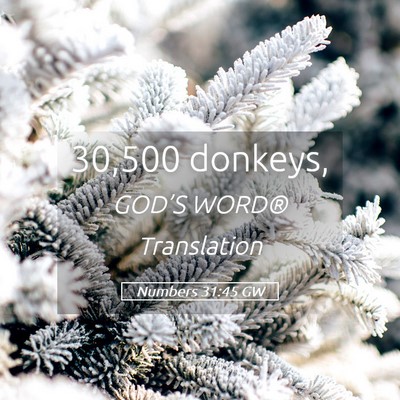 Picture 05 - Numbers 31:45 GW - 30,500 - Bible Verse Picture