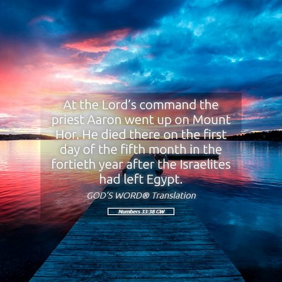 Picture 05 - Numbers 33:38 GW - At the Lord’s command the priest Aaron went up - Bible Verse Picture