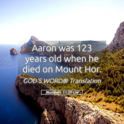 Picture 05 - Numbers 33:39 GW - Aaron was 123 years old when he died on Mount - Bible Verse Picture