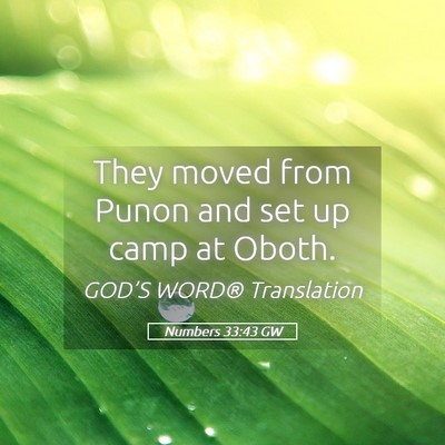 Picture 05 - Numbers 33:43 GW - They moved from Punon and set up camp at - Bible Verse Picture