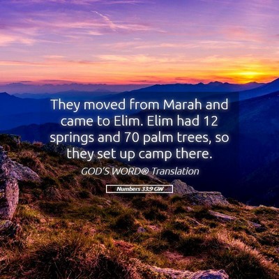 Picture 05 - Numbers 33:9 GW - They moved from Marah and came to Elim. Elim had - Bible Verse Picture