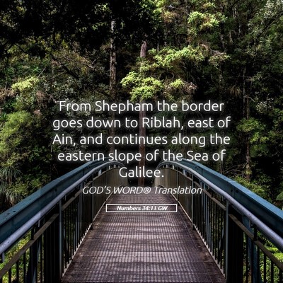 Picture 05 - Numbers 34:11 GW - From Shepham the border goes down to Riblah, east - Bible Verse Picture