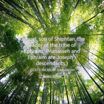 Picture 05 - Numbers 34:24 GW - Kemuel, son of Shiphtan, the leader of the tribe - Bible Verse Picture