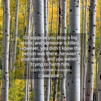 Picture 05 - Numbers 35:23 GW - Or suppose you drop a big stone, and someone is - Bible Verse Picture