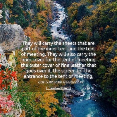 Picture 05 - Numbers 4:25 GW - They will carry the sheets that are part of the - Bible Verse Picture