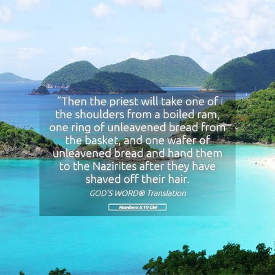 Picture 05 - Numbers 6:19 GW - “Then the priest will take one of the shoulders - Bible Verse Picture