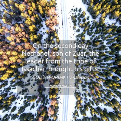 Picture 05 - Numbers 7:18 GW - On the second day Nethanel, son of Zuar, the - Bible Verse Picture