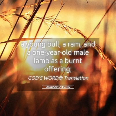 Picture 05 - Numbers 7:45 GW - a young bull, a ram, and a one-year-old male lamb - Bible Verse Picture