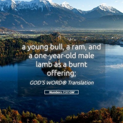 Picture 05 - Numbers 7:51 GW - a young bull, a ram, and a one-year-old male lamb - Bible Verse Picture