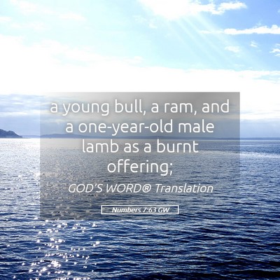 Picture 05 - Numbers 7:63 GW - a young bull, a ram, and a one-year-old male lamb - Bible Verse Picture
