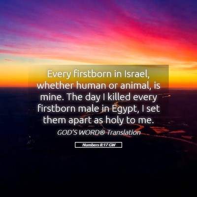 Picture 05 - Numbers 8:17 GW - Every firstborn in Israel, whether human or - Bible Verse Picture