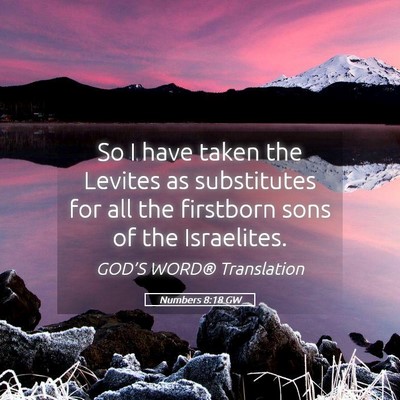 Picture 05 - Numbers 8:18 GW - So I have taken the Levites as substitutes for - Bible Verse Picture