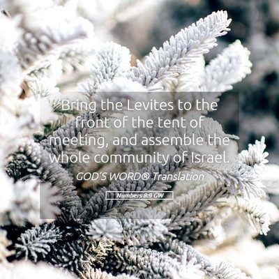 Picture 05 - Numbers 8:9 GW - Bring the Levites to the front of the tent of - Bible Verse Picture