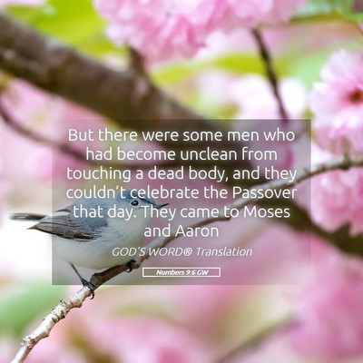 Picture 05 - Numbers 9:6 GW - But there were some men who had become unclean - Bible Verse Picture