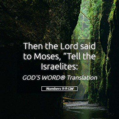 Picture 05 - Numbers 9:9 GW - Then the Lord said to Moses, “Tell the - Bible Verse Picture