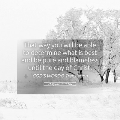 Picture 05 - Philippians 1:10 GW - That way you will be able to determine what is - Bible Verse Picture