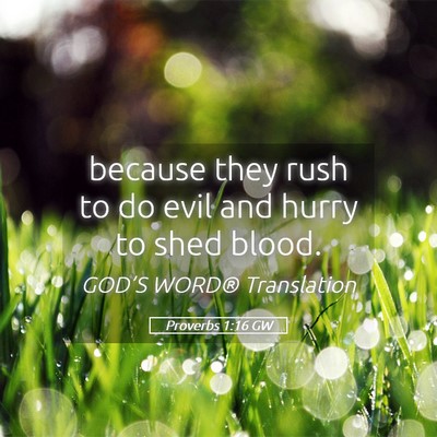Picture 05 - Proverbs 1:16 GW - because they rush to do evil and hurry to shed - Bible Verse Picture