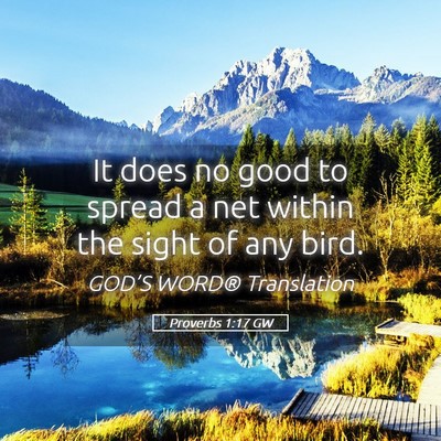 Picture 05 - Proverbs 1:17 GW - It does no good to spread a net within the sight - Bible Verse Picture