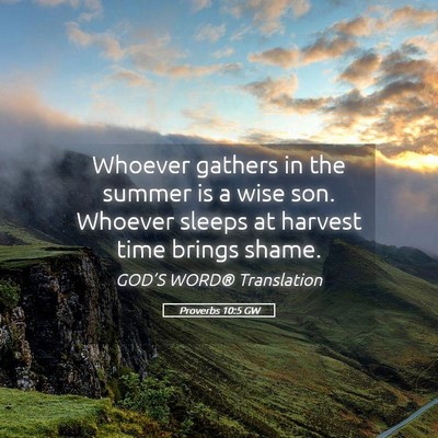 Picture 05 - Proverbs 10:5 GW - Whoever gathers in the summer is a wise son. - Bible Verse Picture