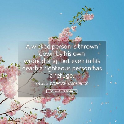Picture 05 - Proverbs 14:32 GW - A wicked person is thrown down by his own - Bible Verse Picture