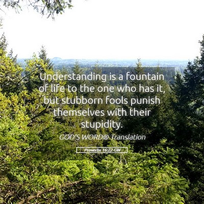 Picture 05 - Proverbs 16:22 GW - Understanding is a fountain of life to the one - Bible Verse Picture