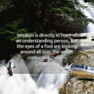 Picture 05 - Proverbs 17:24 GW - Wisdom is directly in front of an understanding - Bible Verse Picture