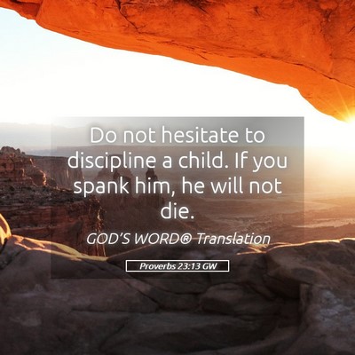 Picture 05 - Proverbs 23:13 GW - Do not hesitate to discipline a child. If you - Bible Verse Picture