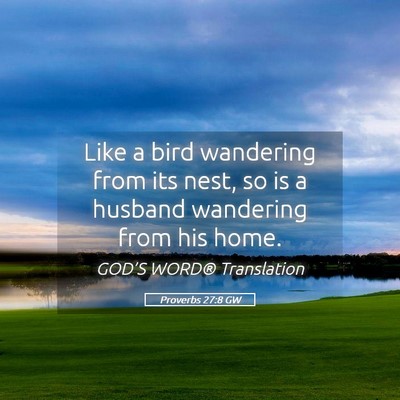 Picture 05 - Proverbs 27:8 GW - Like a bird wandering from its nest, so is a - Bible Verse Picture