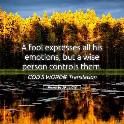Picture 05 - Proverbs 29:11 GW - A fool expresses all his emotions, but a wise - Bible Verse Picture