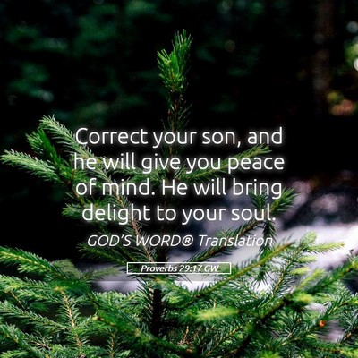 Picture 05 - Proverbs 29:17 GW - Correct your son, and he will give you peace of - Bible Verse Picture