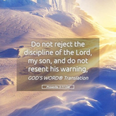 Picture 05 - Proverbs 3:11 GW - Do not reject the discipline of the Lord, my son, - Bible Verse Picture
