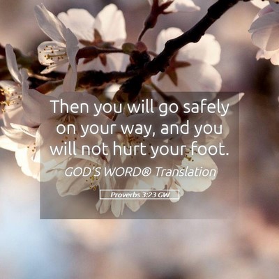 Picture 05 - Proverbs 3:23 GW - Then you will go safely on your way, and you will - Bible Verse Picture