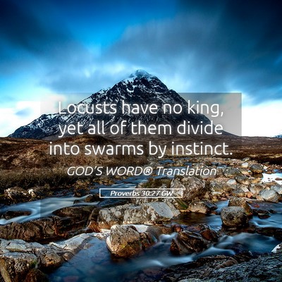 Picture 05 - Proverbs 30:27 GW - Locusts have no king, yet all of them divide into - Bible Verse Picture