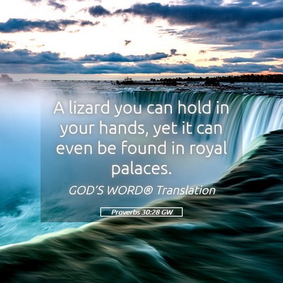 Picture 05 - Proverbs 30:28 GW - A lizard you can hold in your hands, yet it can - Bible Verse Picture