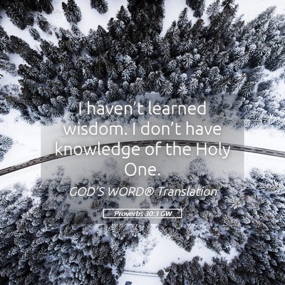 Picture 05 - Proverbs 30:3 GW - I haven’t learned wisdom. I don’t have - Bible Verse Picture
